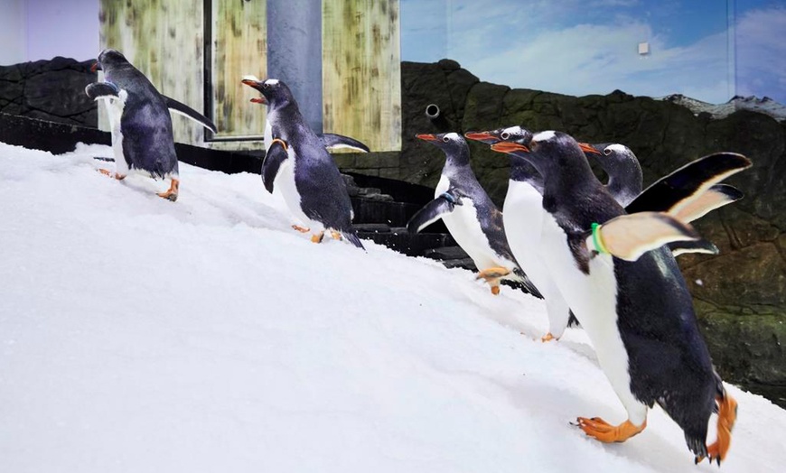 Image 4: Visit any 4 Top Attractions: Sea Life Sydney, Madame Tussauds & More