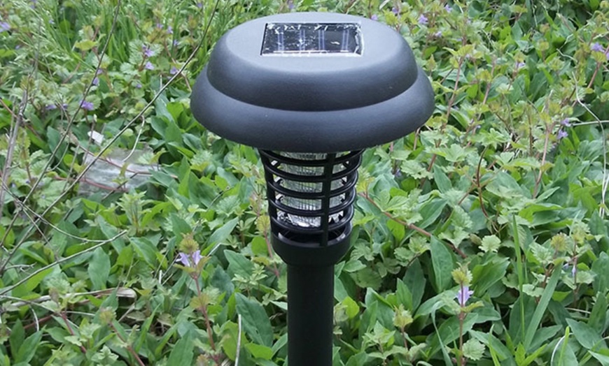 Image 12: Lampe tueuse d'insectes solaire
