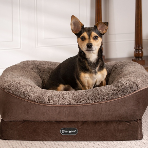 beautyrest dog bed