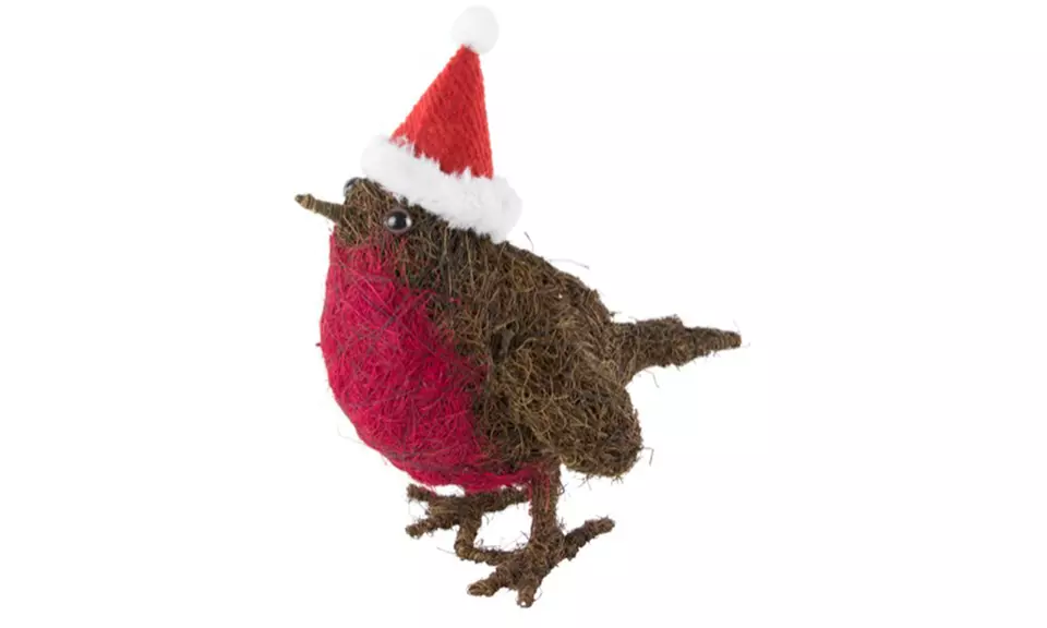 Pots de plantes de Noël - Primary Image