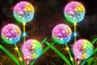 Pack of 2 or 4 Solar Outdoor Landscape Water-resistant Dandelion Light - Second Medium