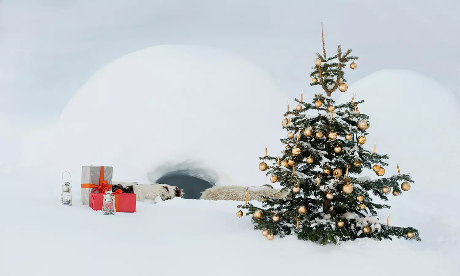 Wertgutschein über 29,95 € oder 49,95 € anrechenbar auf eine Nordmann-Tanne mit bis zu 2 m Höhe von Kaisertanne.de - Primary Image