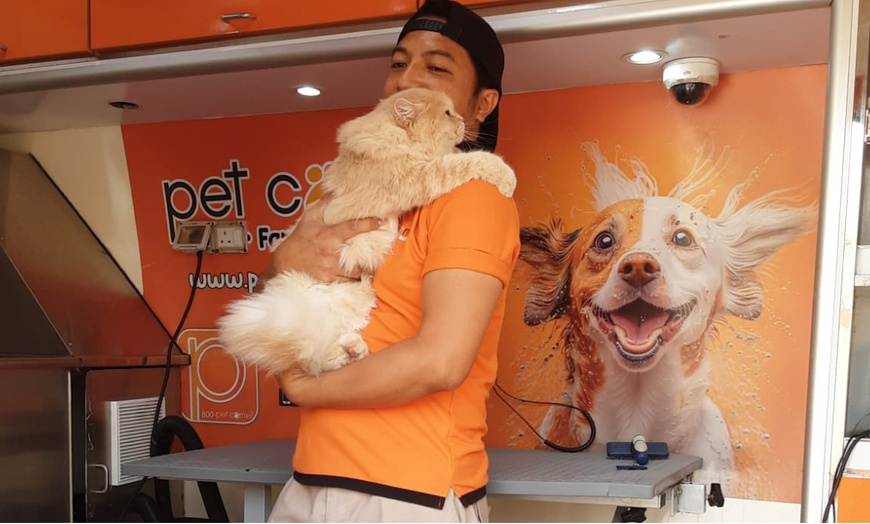 Image 12: Basic or Full Grooming at Pet Corner