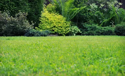 $150 for $300 Worth of Lawn-Care and Pest-Control Services from Living Water Lawn & Tree Care - Primary Image