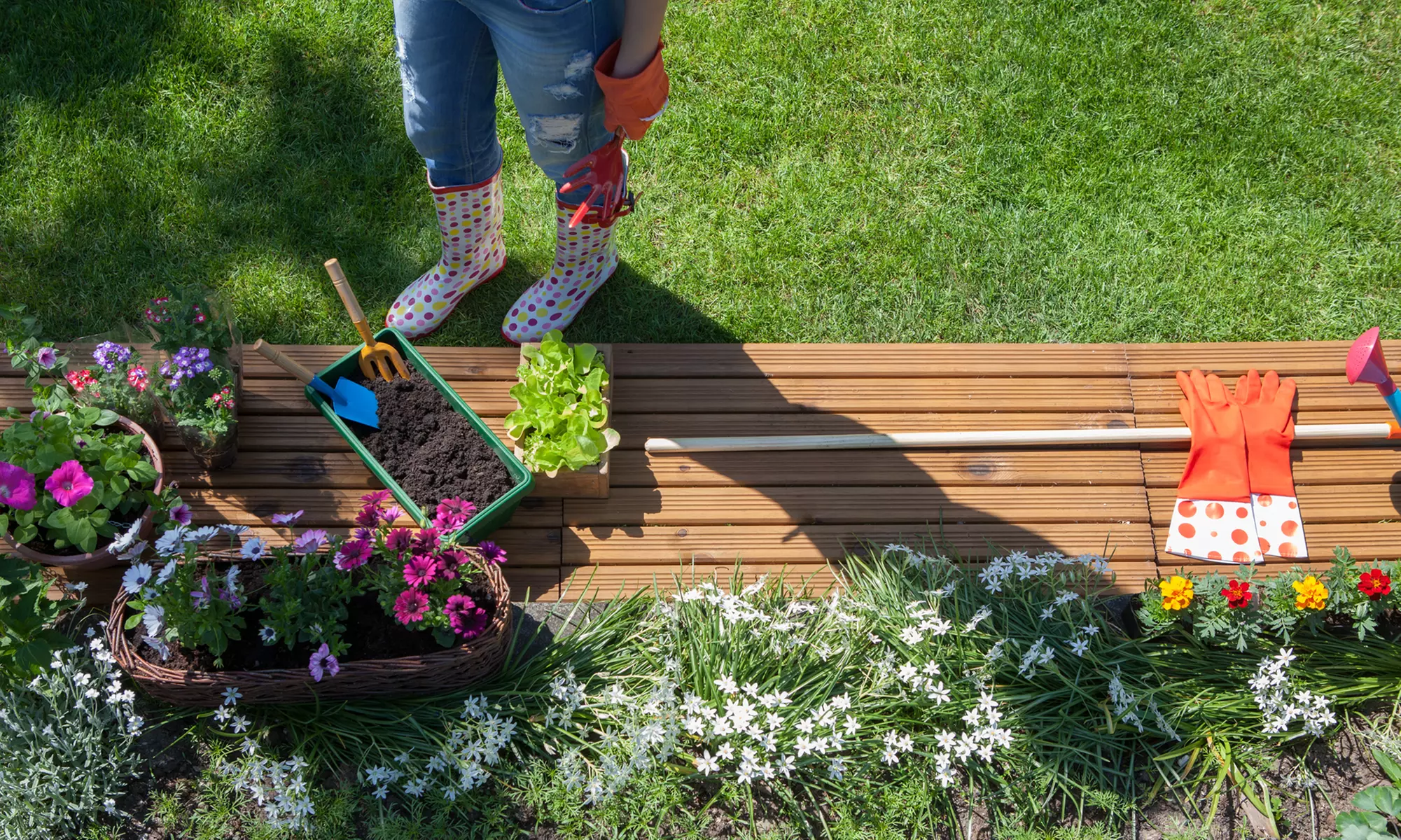 Marketplace Events – San Antonio Home & Garden Show at The Alamodome - Primary Image