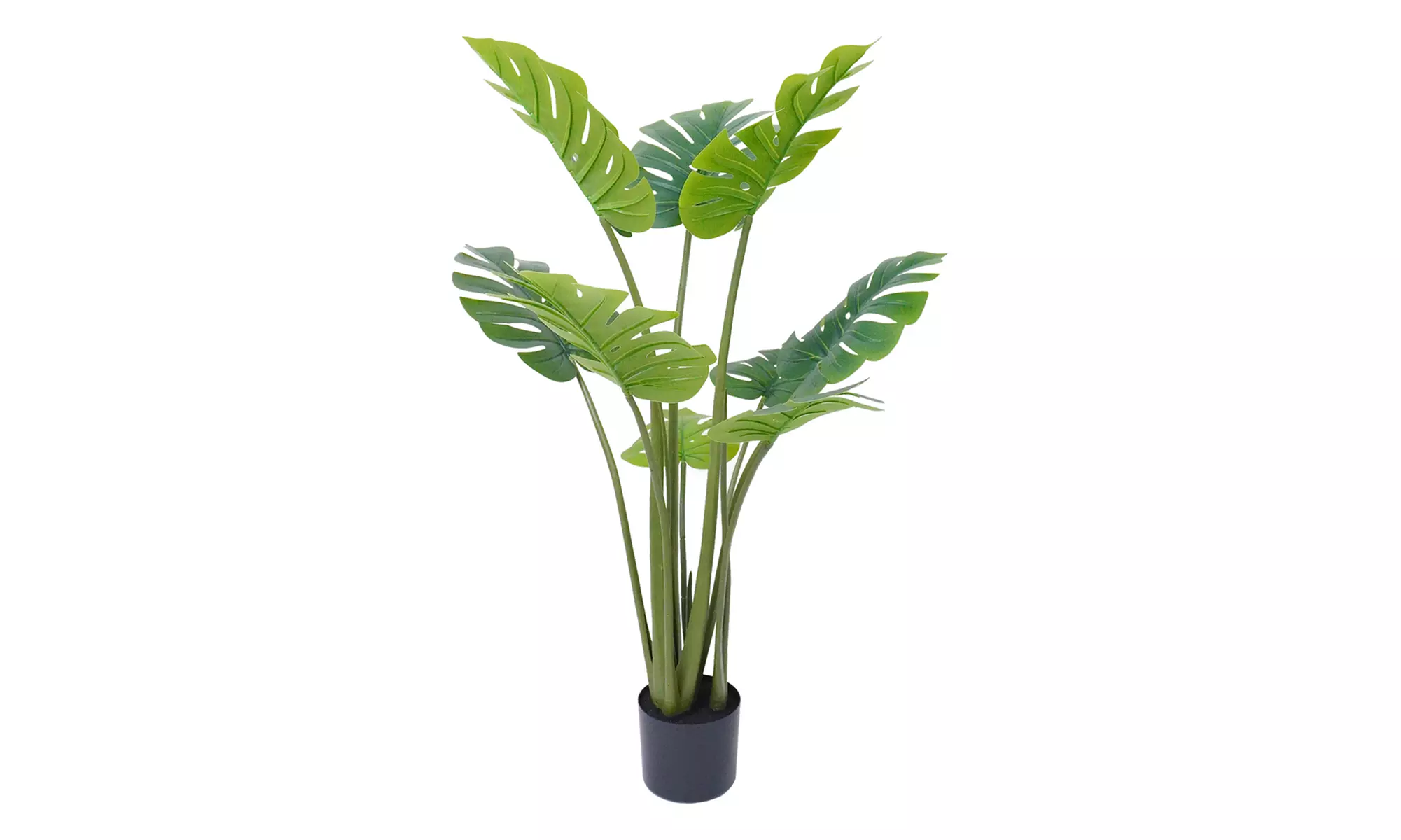 Collezione di piante finte da interno