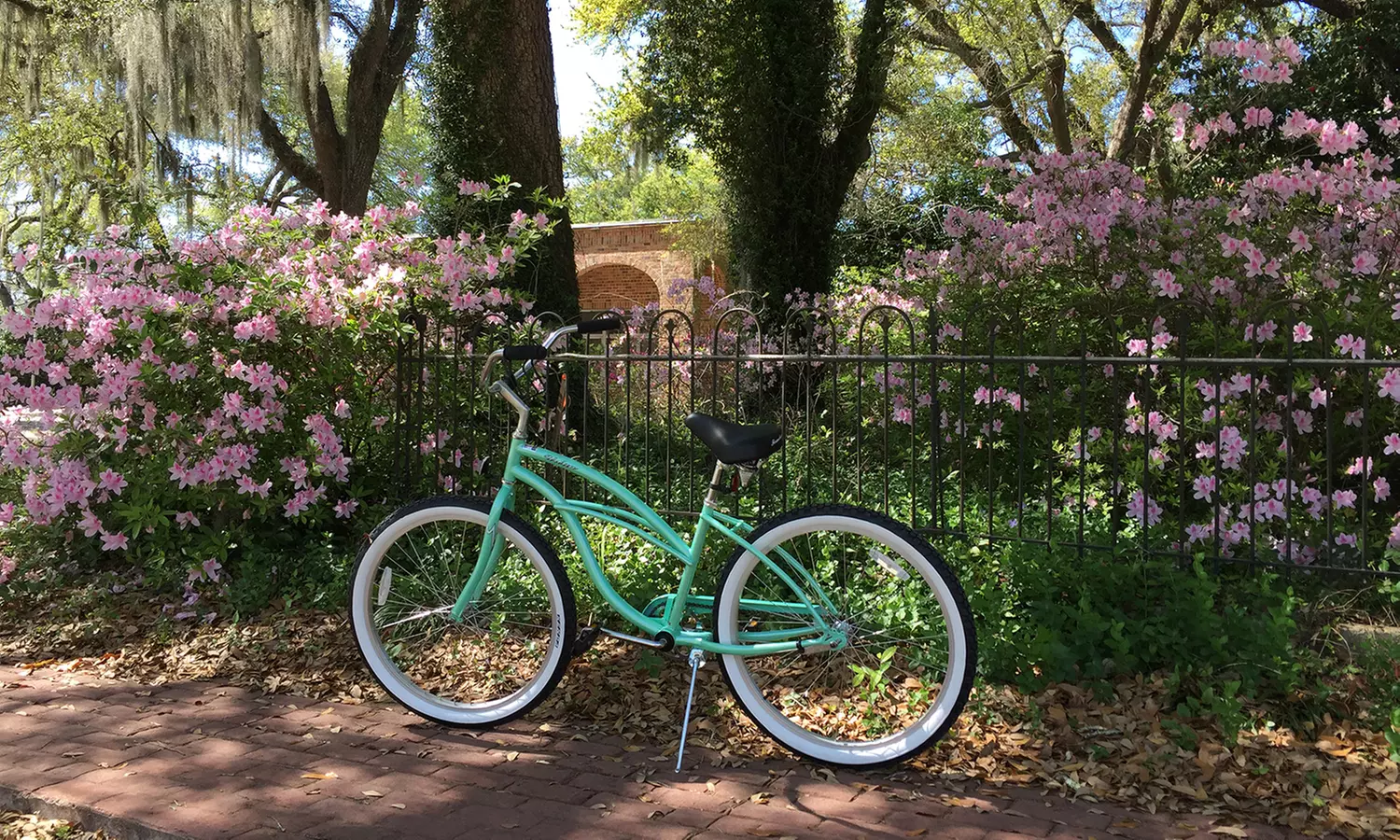 Full-Day Bike Rental for One or Two at Bayou Bike Shack (Up to 50% Off) - Primary Image