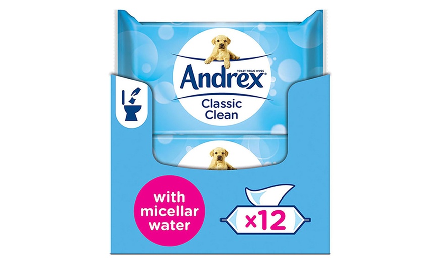 Image 9: Andrex Flushable Wipes
