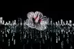 Immerse Yourself in a Mesmerizing Fusion of Art, Sound, and Fragrance at ARTE MUSEUM New York - Second Medium