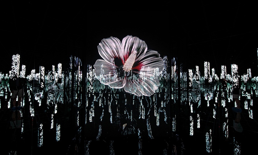 Image 3: ARTE MUSEUM New York: Your All-Sensory Journey Begins