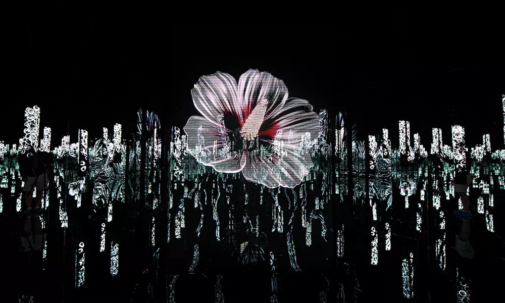 ARTE MUSEUM New York: Your All-Sensory Journey Begins