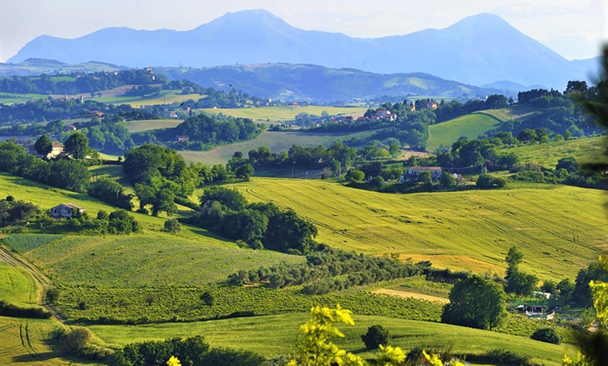 Image 12: Marche: camera per 2 o 4 persone con colazione o mezza pensione