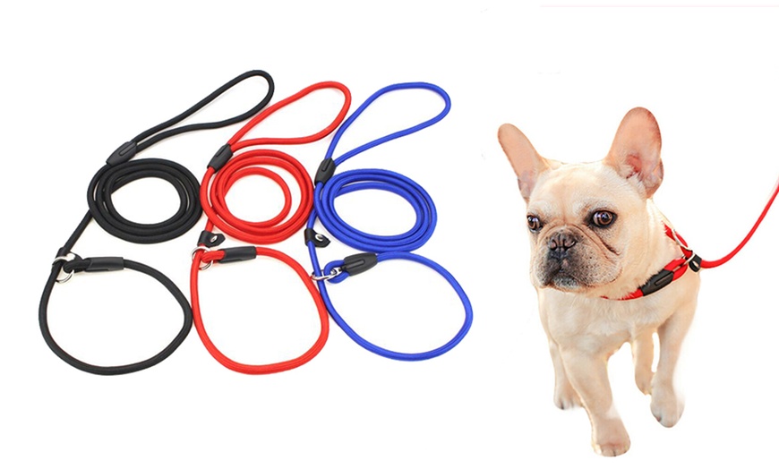 Image 1: Dog Training Correction Leash
