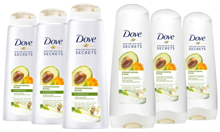 Image 11: Dove Shampoo and Conditioner Set