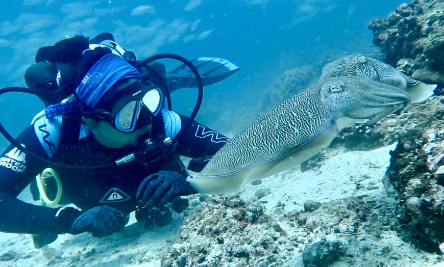 Image 6: Scuba Diving Courses at DiveCampus