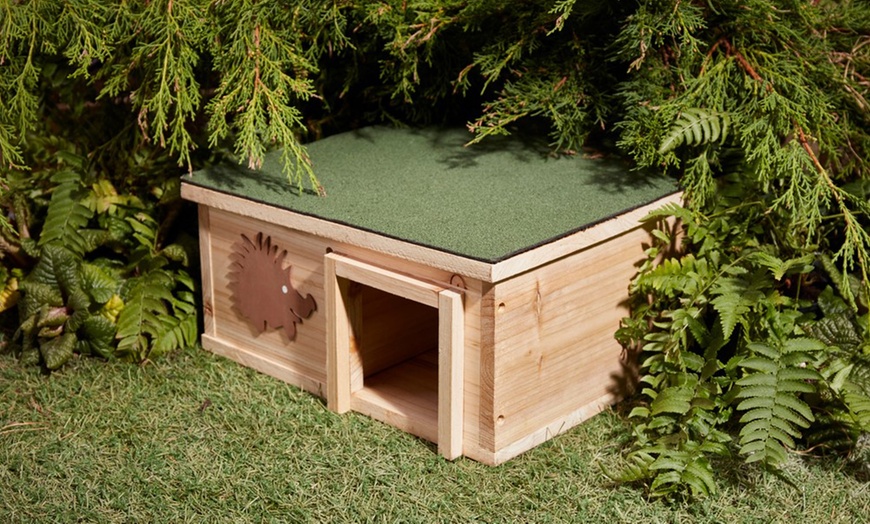 Image 2: Endangered Hedgehog House
