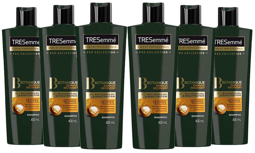 Image 6: Tresemme Botanique Hair Cosmetics