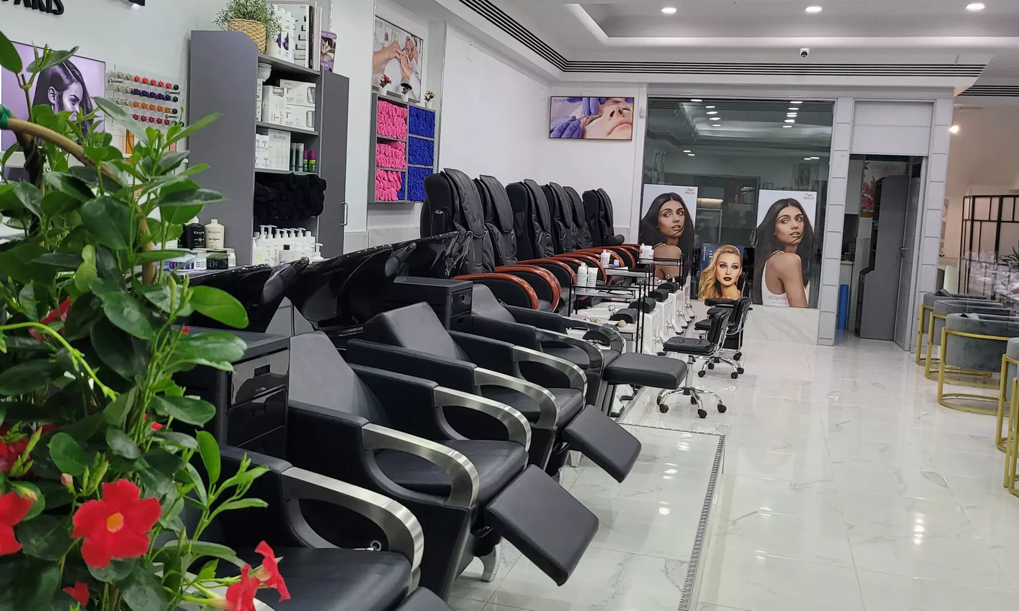 Sesión completa de peluquería con opción a tinte y mechas