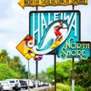 Image 5: Up to 65% Off Oahu Full-Day Island Tour - Aloha Fantasy Tours