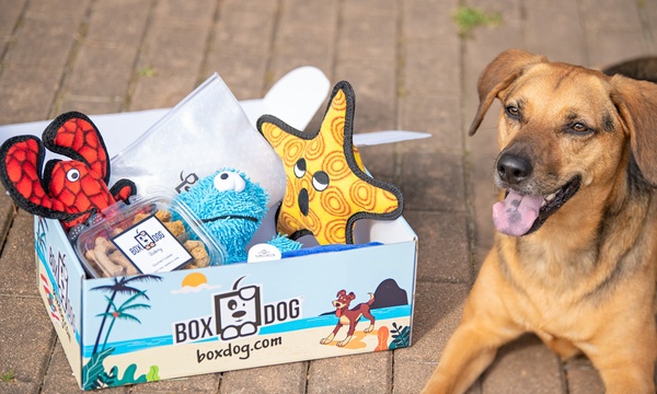 Groupon pet deals box