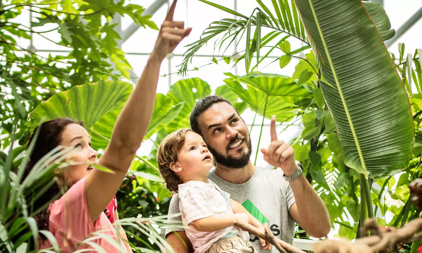 IMG Worlds Of Adventure with Dubai Frame, Miracle Garden, and More