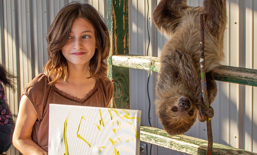 Image 4: Encounter Tour, Sippin' with Sloths, or Kangaroo Yoga at Coastal Wilds