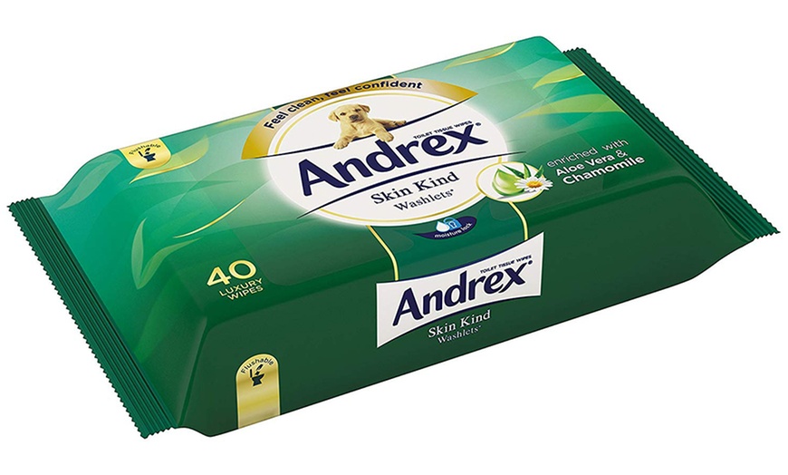 Image 3: Andrex Skin Kind Aloe Washlets