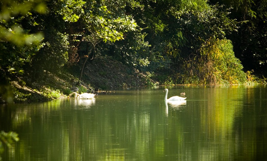 Image 12: Parco della Preistoria a Rivolta d'Adda
