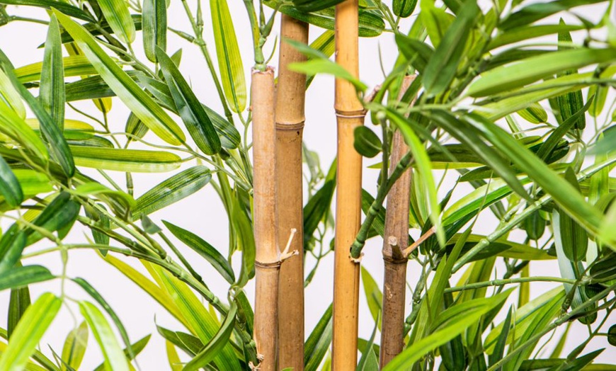 Image 6: Artificial Plants and Trees - Bamboo, Ficus, Olive and Palm