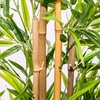 Image 6: Artificial Plants and Trees - Bamboo, Ficus, Olive and Palm