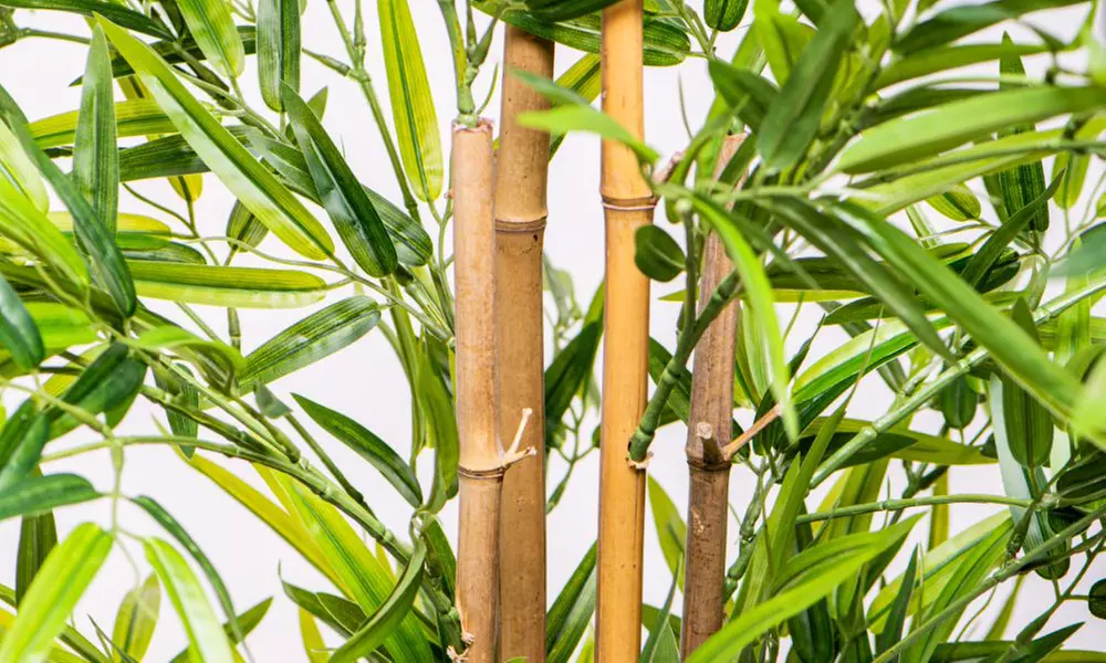 Artificial Plants and Trees - Bamboo, Ficus, Olive and Palm