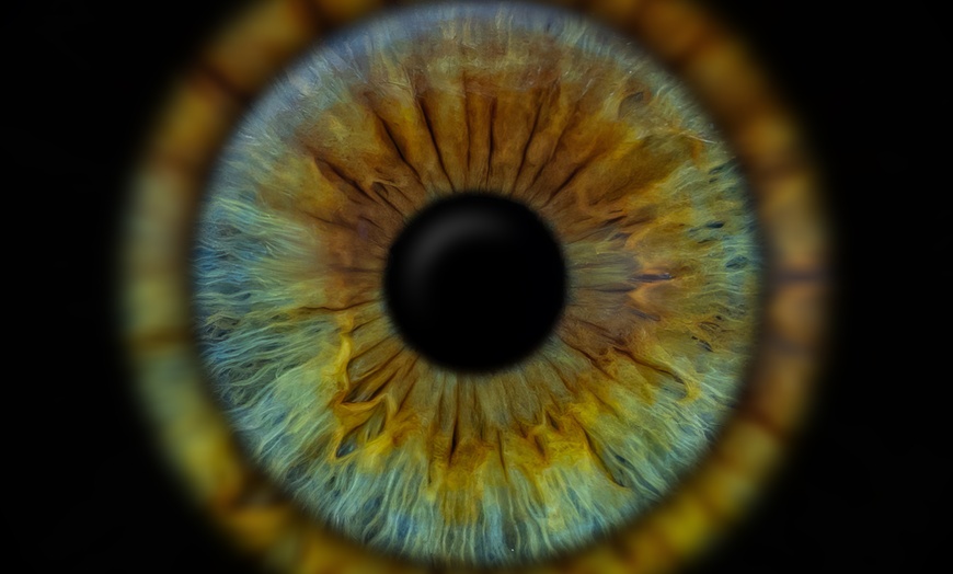 Image 3: Odkryj magię spojrzenia: zdjęcia Twojej tęczówki w artystycznej formie