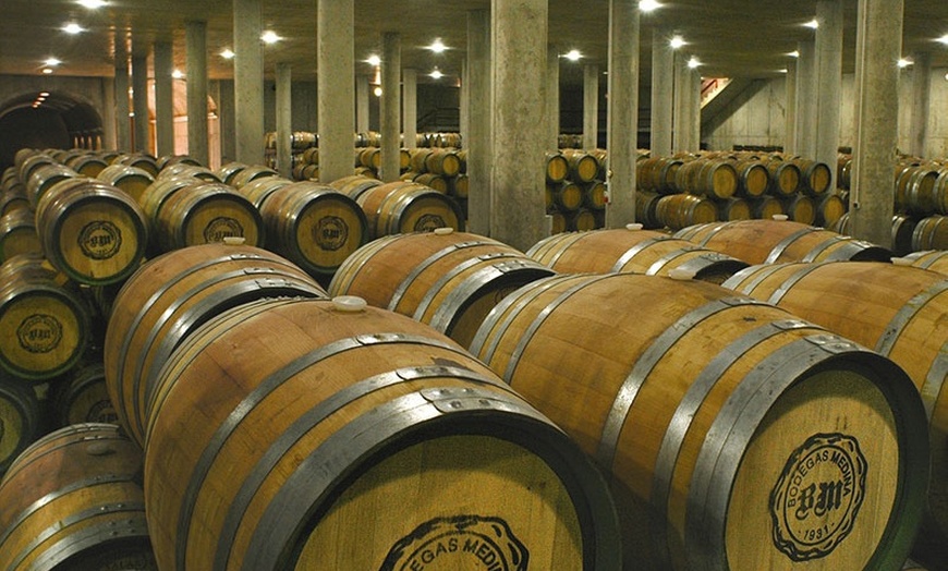 Image 12: Visita a bodega con cata de vinos 