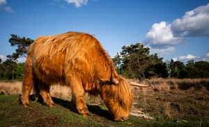 Brabantse natuur: tweepersoonskamer met ontbijt