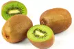 3 ou 6 plants XXL de kiwi Actinidia deliciosa "Jenny’", hauteur de 30-40 cm - Image 2