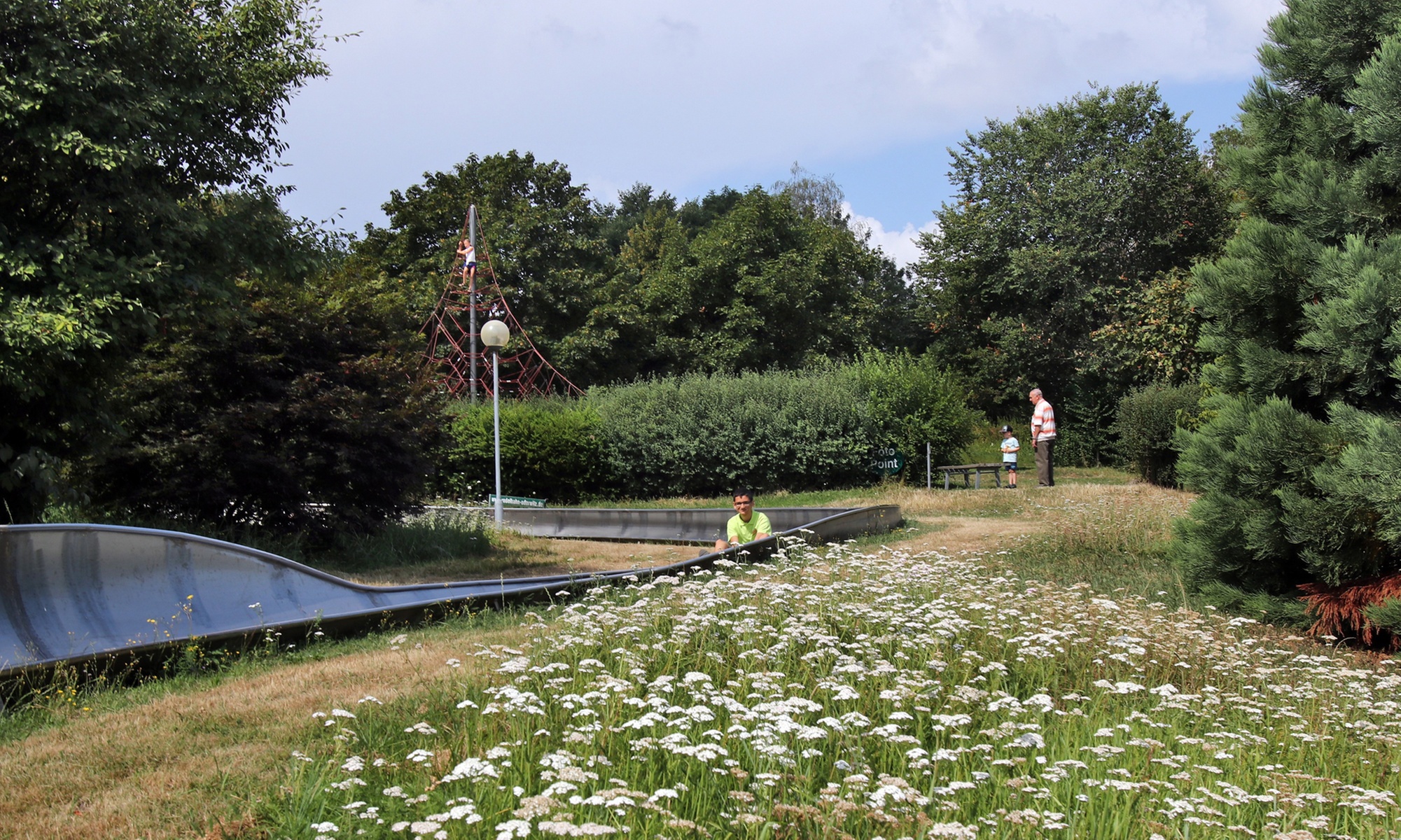 Familienspaß: 3 oder 6 Fahrten auf der Rodelbahn für 2 oder 4 Personen