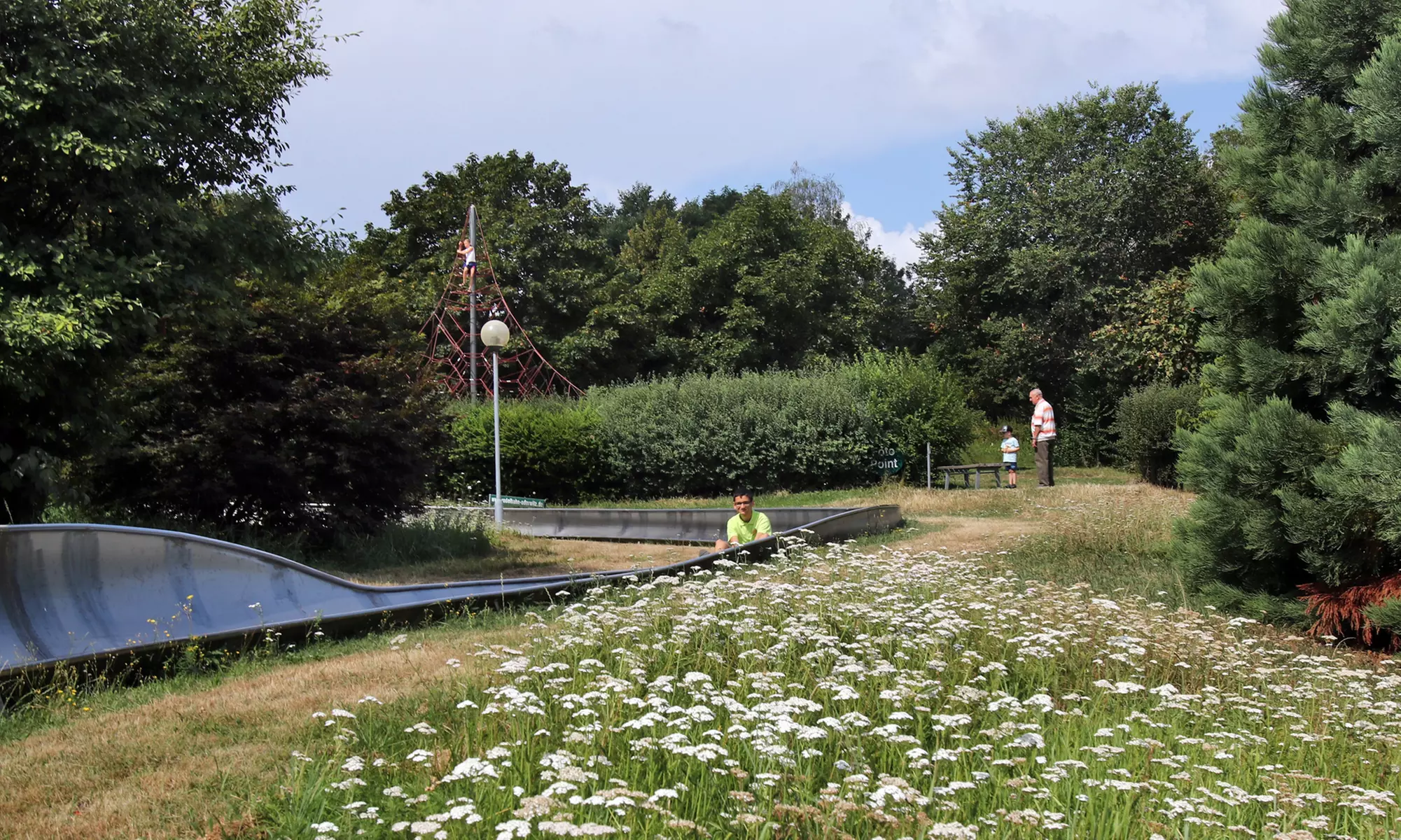 Genieße 3 oder 6 Fahrten auf der Rodelbahn für 2 oder 4 Personen im Rodelpark Oderwitz (40% sparen) - Primary Image