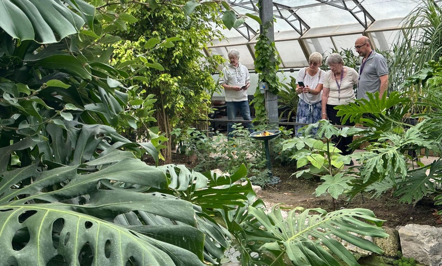 Image 10: Magic of London Butterfly Gardens with Entry for Adults and Children!