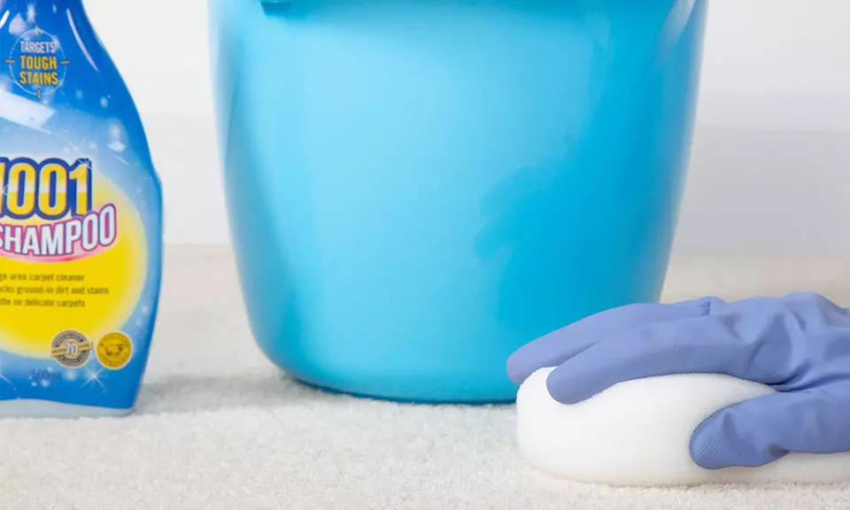 1001 Large Carpet, Rugs and Upholstery Stain Remover Shampoo