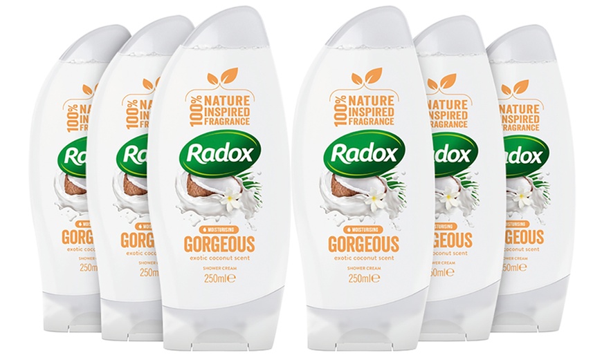 Image 8: Radox Shower Gels 250ml