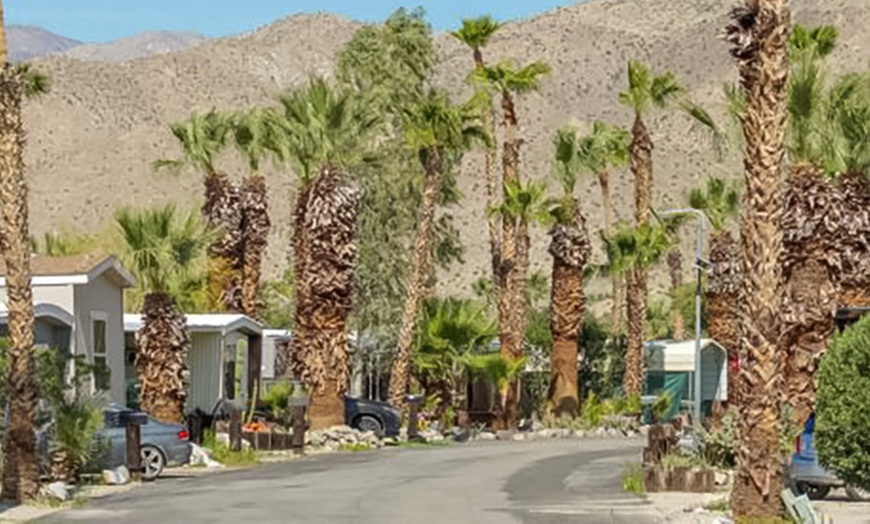 Image 7: Chlorine-Free Mineral Pool Any-Day Passes for One, Two or Four 