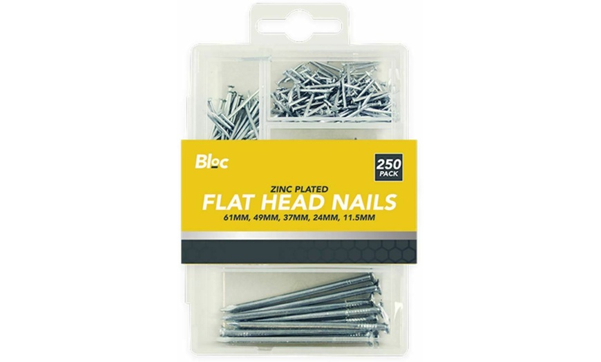 Image 1: Assorted Flat Head Nails Set