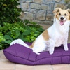 Image 11: Almohada Maxy para perros y gatos