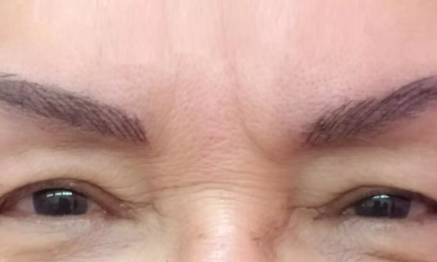 Microblading o microshading con diseño de cejas en Anita La Venezolana