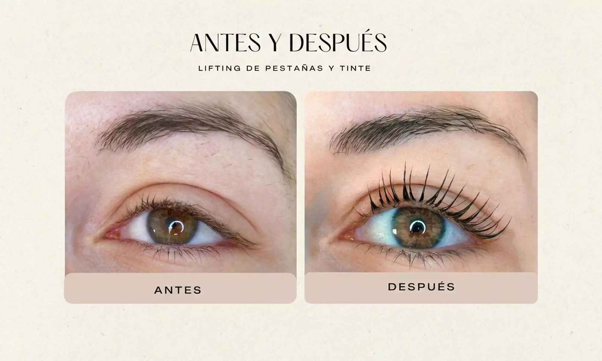 Lifting y tinte de pestañas con opción a laminado de cejas y diseño