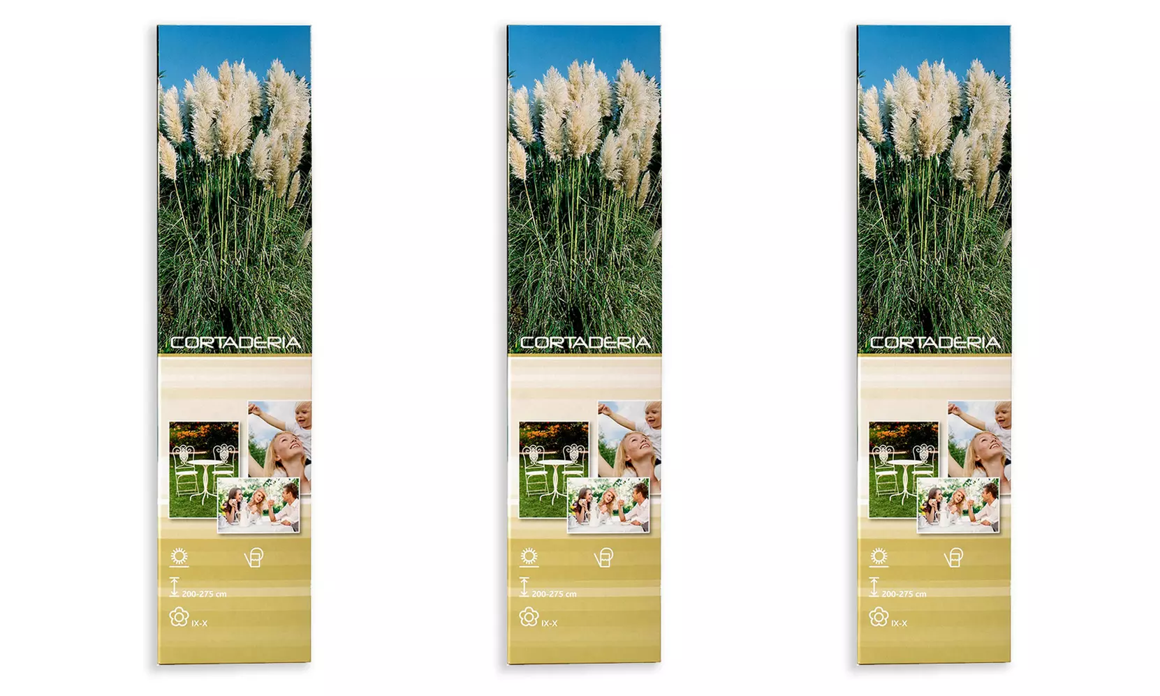 Set de 3 plantas de exterior Pampa