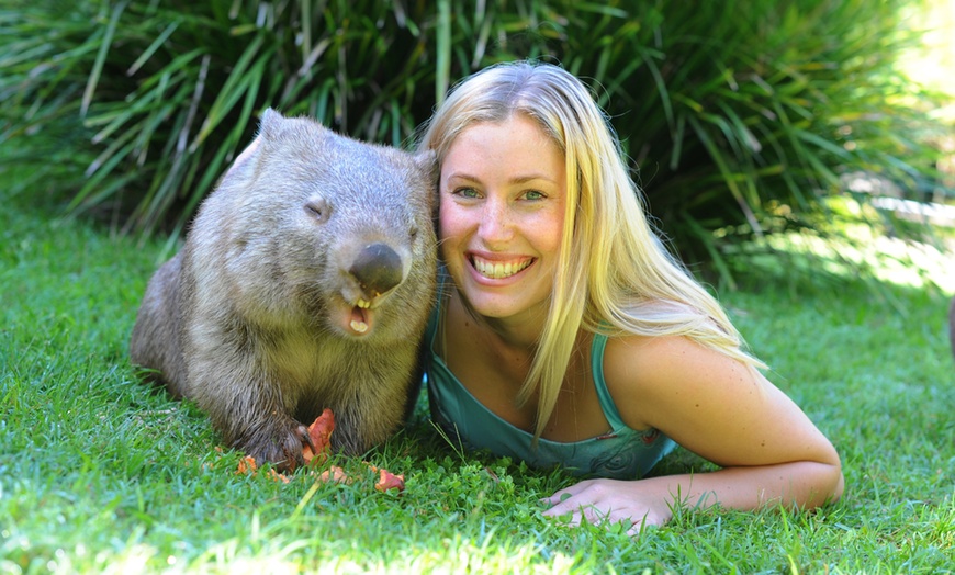 Image 8: Admission and Hospital Sneak Peek to Australia Zoo