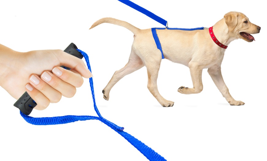 Image 1: Anti-Pull Dog Harness and Lead