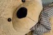 Oversized Super Soft Teddy Bear 90cm-250cm - Image 3
