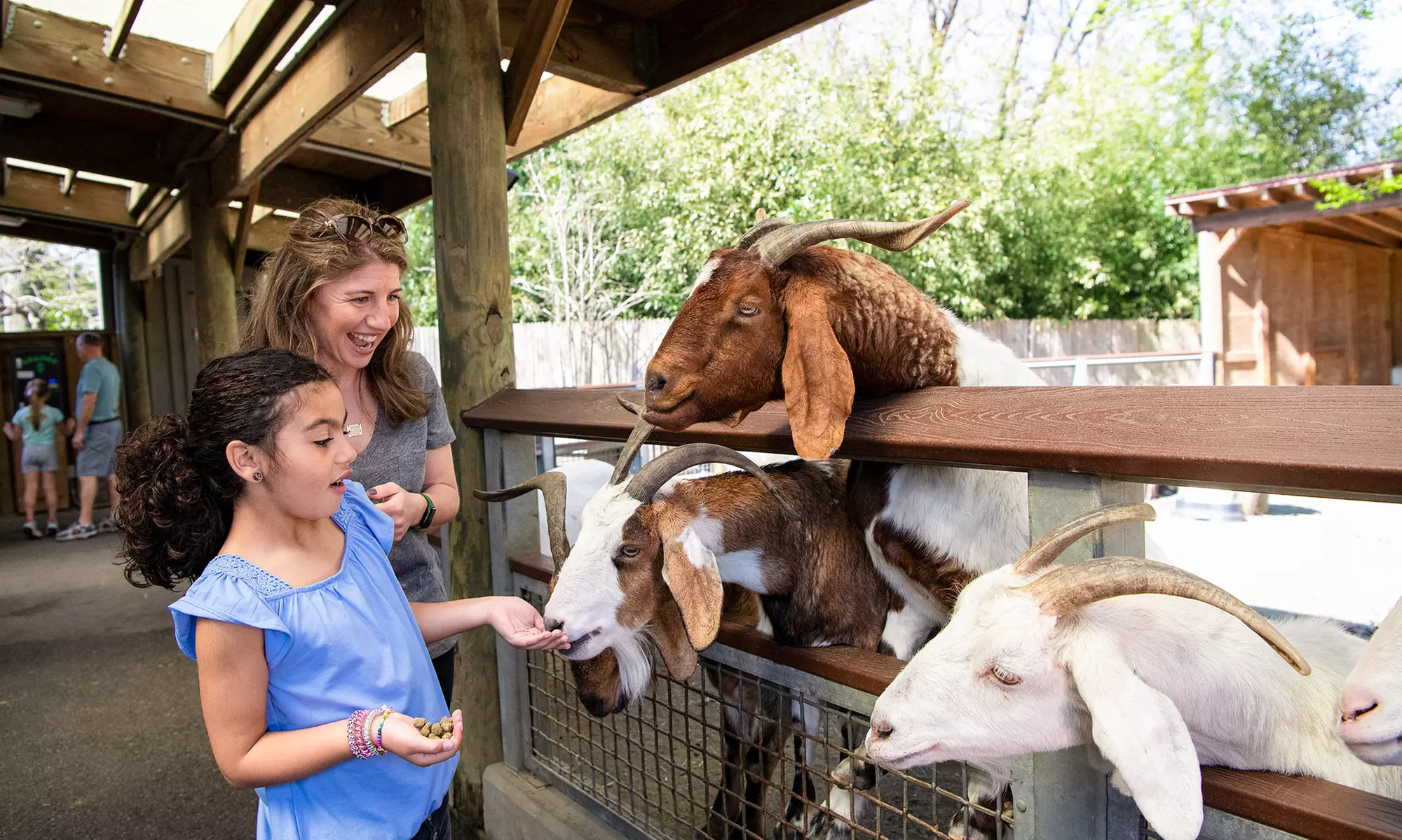 Admission for One Child or Adult to Bronx Zoo